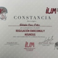 Ampliar imagen: certificate 26