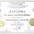 Ampliar imagen: certificate 23
