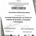 Ampliar imagen: certificate 2