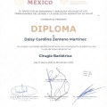 Ampliar imagen: certificate 5