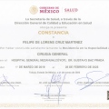 Ampliar imagen: certificate 3