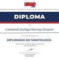 Ampliar imagen: certificate 4