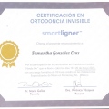 Ampliar imagen: certificate 2
