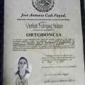 Ampliar imagen: certificate 3