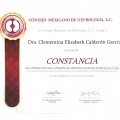 Ampliar imagen: certificate 2