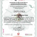 Ampliar imagen: certificate 8