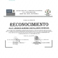 Ampliar imagen: certificate 30
