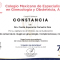Ampliar imagen: certificate 22