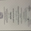 Ampliar imagen: certificate 3