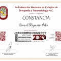 Ampliar imagen: certificate 7