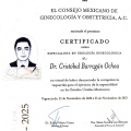 Ampliar imagen: certificate 10