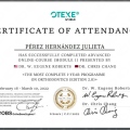 Ampliar imagen: certificate 1