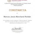 Ampliar imagen: certificate 8