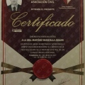 Ampliar imagen: certificate 10