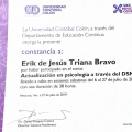 Ampliar imagen: certificate 2