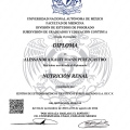 Ampliar imagen: certificate 2