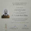 Ampliar imagen: certificate 2