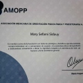 Ampliar imagen: certificate 9