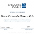 Ampliar imagen: certificate 3