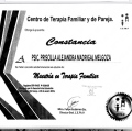 Ampliar imagen: certificate 6