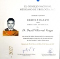 Ampliar imagen: certificate 1