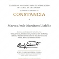 Ampliar imagen: certificate 4