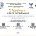 Ampliar imagen: certificate 1