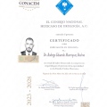 Ampliar imagen: certificate 1