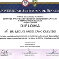 Ampliar imagen: certificate 2