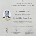 Ampliar imagen: certificate 1