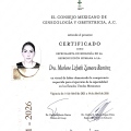 Ampliar imagen: certificate 8