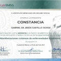 Ampliar imagen: certificate 13