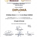 Ampliar imagen: certificate 3
