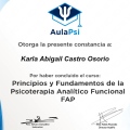 Ampliar imagen: certificate 1
