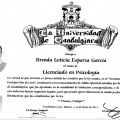Ampliar imagen: certificate 3