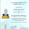Ampliar imagen: certificate 2