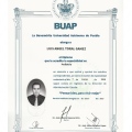 Ampliar imagen: certificate 2