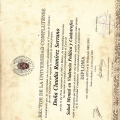 Ampliar imagen: certificate 5
