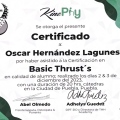 Ampliar imagen: certificate 8