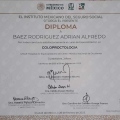 Ampliar imagen: certificate 3