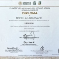 Ampliar imagen: certificate 3
