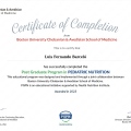 Ampliar imagen: certificate 3