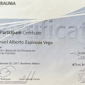 Ampliar imagen: certificate 5