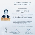Ampliar imagen: certificate 2