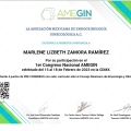Ampliar imagen: certificate 6