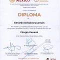 Ampliar imagen: certificate 6