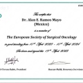 Ampliar imagen: certificate 3