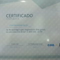Ampliar imagen: certificate 2