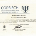 Ampliar imagen: certificate 8