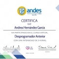 Ampliar imagen: certificate 8